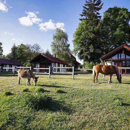Pferdehof Schorfheide Villa Ngoại thất bức ảnh