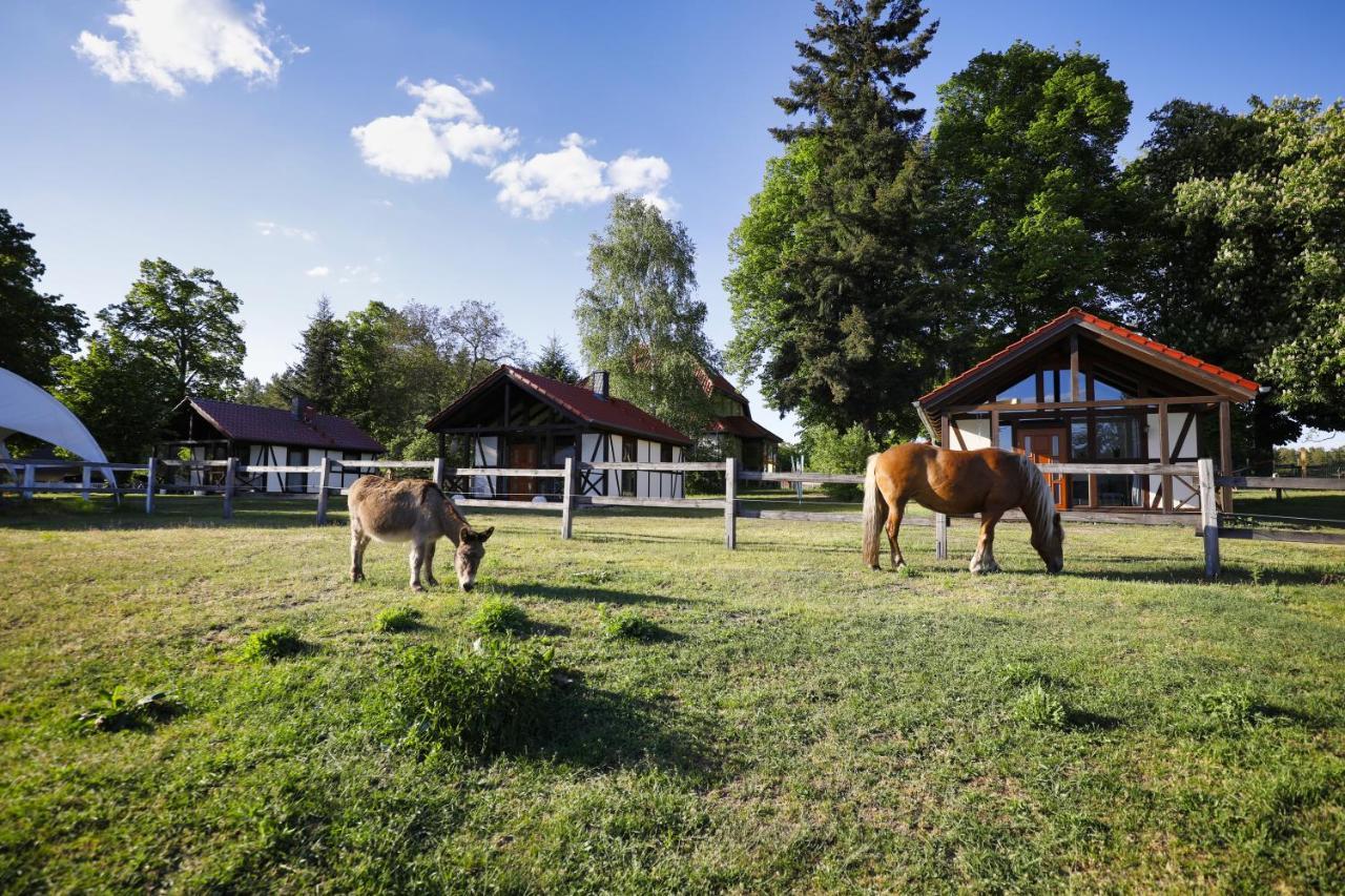Pferdehof Schorfheide Villa Ngoại thất bức ảnh